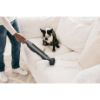 Shark WV361UK Cordless Vacuum Cleaner with Anti Hair Wrap Technology - Run Time 16 Mintues - Steel Grey_dust