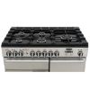 97550 PROFESSIONAL DL 100_cooker