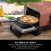 Ninja OO101UKSTANDKIT Woodfire Electric Outdoor Oven with BBQ Stand - Terracotta/Steel_pizza