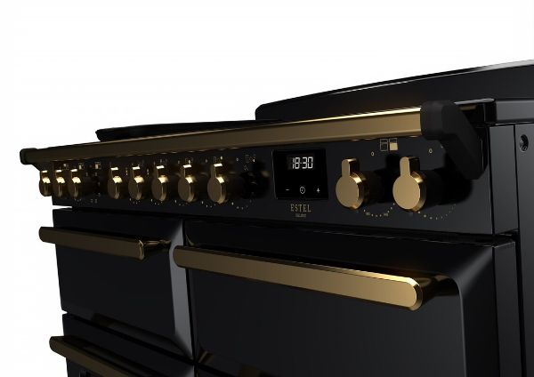 Rangemaster 18165 Deluxe 110 Induction Range Cooker in Gloss Black with Antique Brass Trim - ESDLB110EIPGBL/AB1_controls