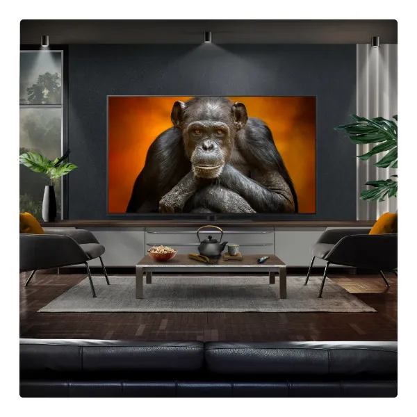 LG OLED evo AI G5 55" 4K Smart TV_view