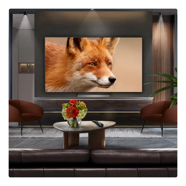 LG OLED evo AI C5 65" 4K Smart TV_view