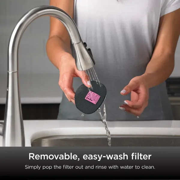 Shark CH901UK UltraCyclone Pro Cordless Handheld Vacuum Cleaner - 10 Minute Run Time - Green_filter