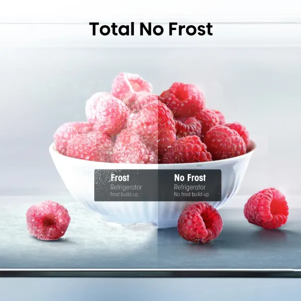 Hisense RB395N4BCE 60/40 Total No Frost Fridge Freezer - Stainless Steel_no frost