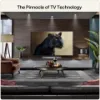 LG OLED48G66LS.AEK 48" 4K OLED evo AI Stand version Smart TV_room view