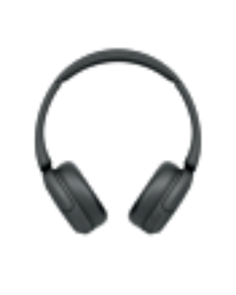 sony_whch530bce7_1703815_34-0100-0129.png