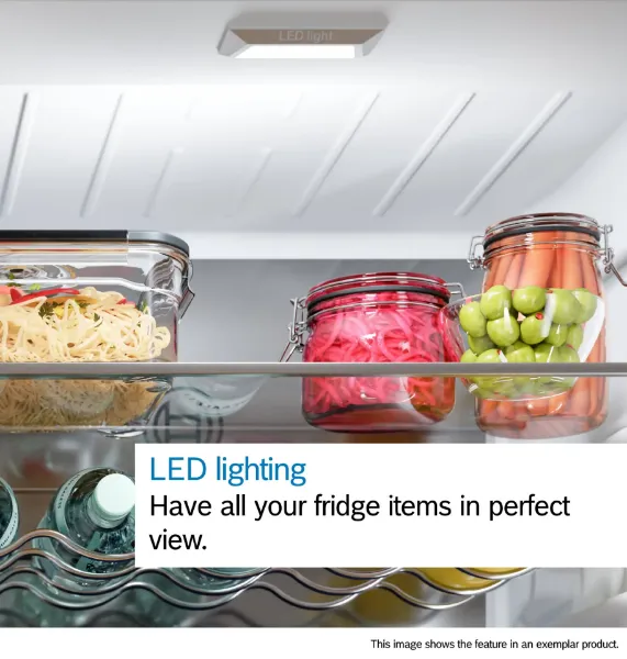 Bosch KSN36VLDGG Freestanding Fridge in Inox-look